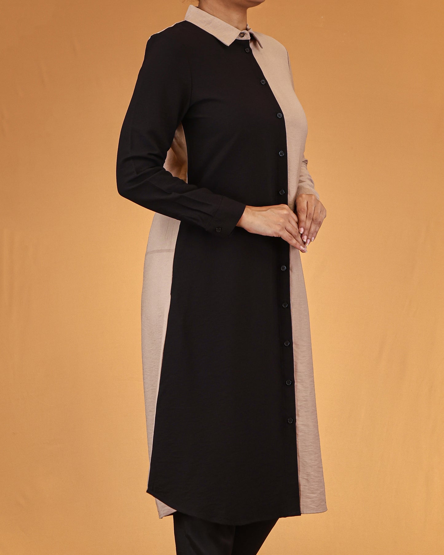 Dual-Tone Buttoned Shirt Dress