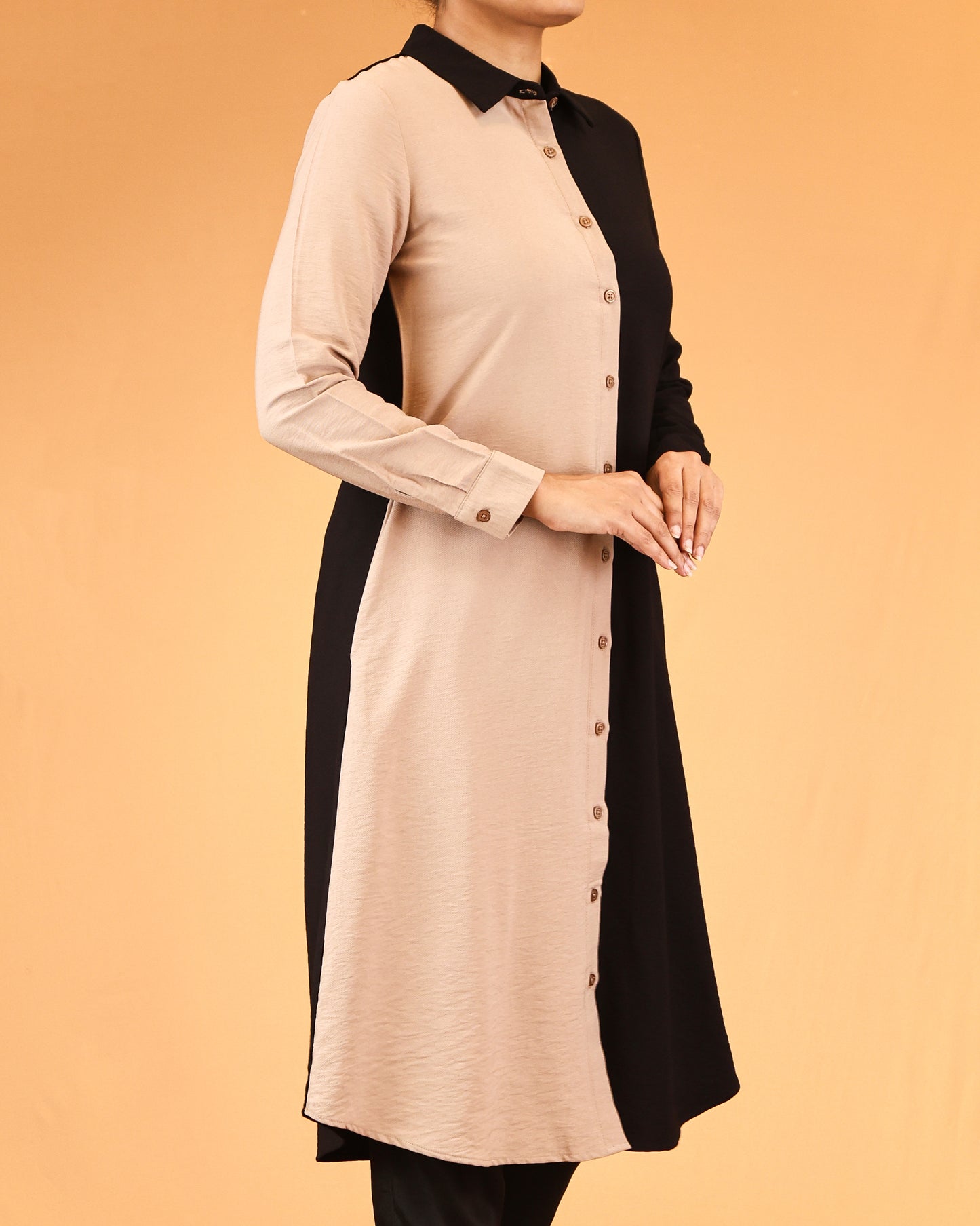 Dual-Tone Buttoned Shirt Dress