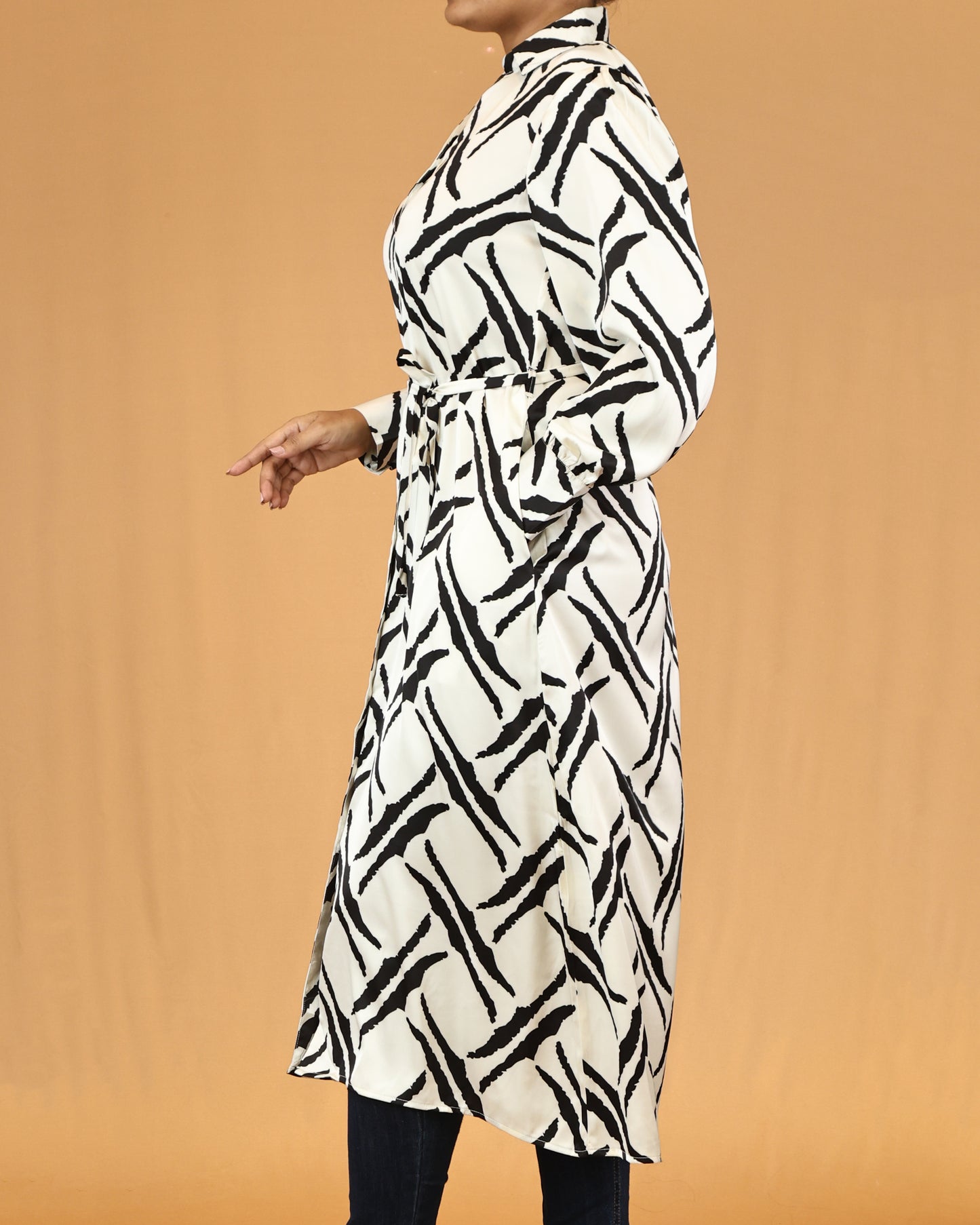 Collared Button-Front Waist Tie White Abstract Stripe Shirt Dress