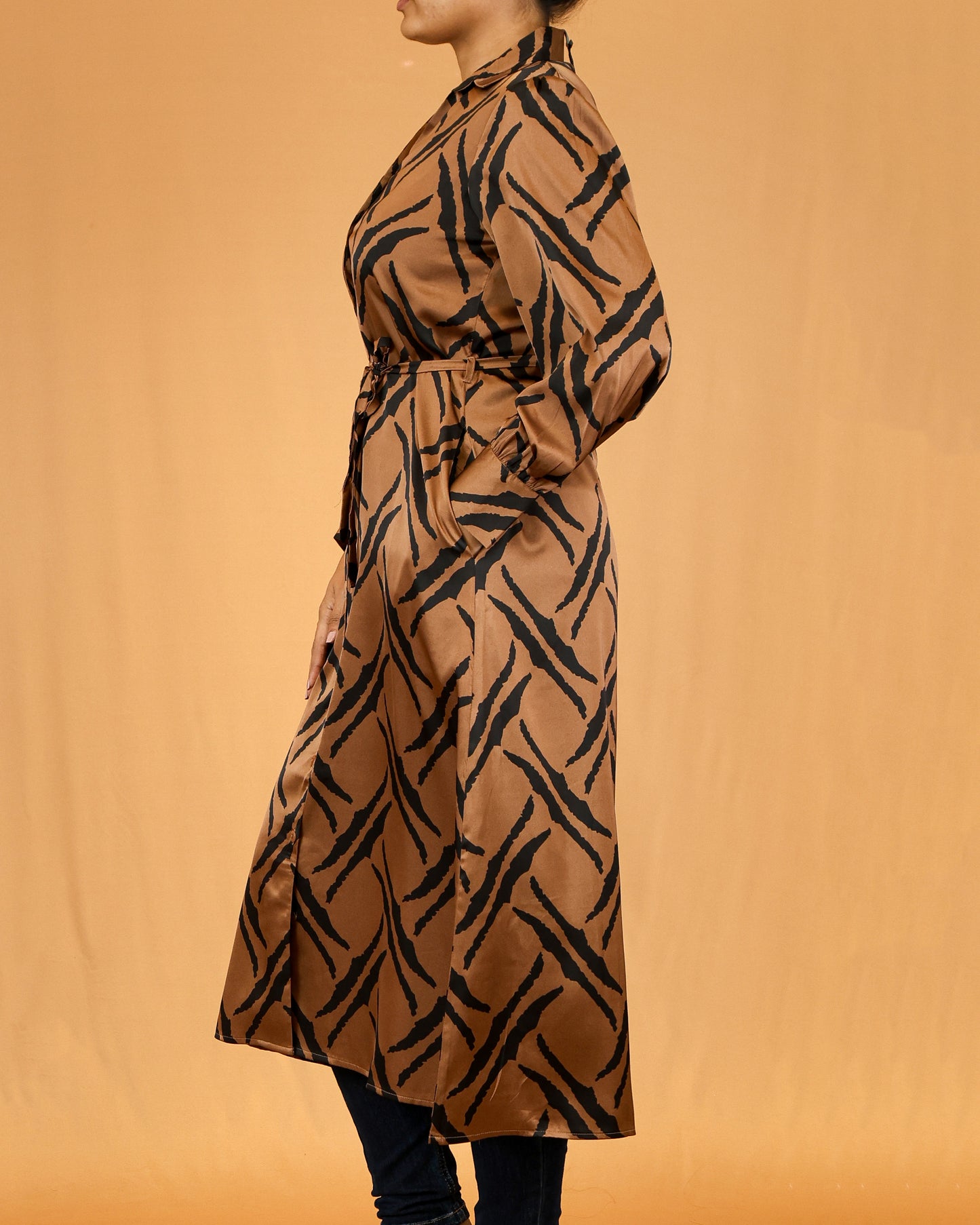 Collared Button-Front Waist Tie Brown Abstract Stripe Shirt Dress