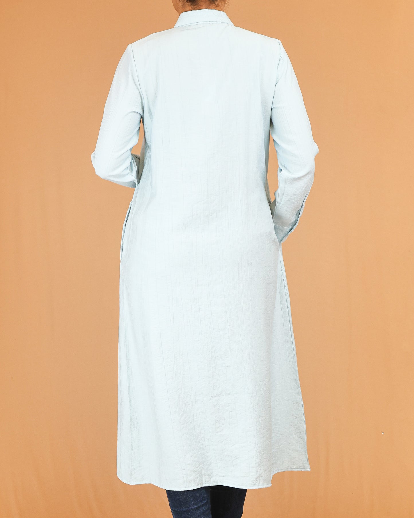 Powder Blue Shirt Dress with Concealed Placket